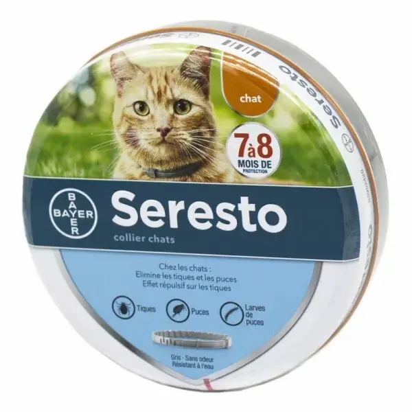 Collar para gatos