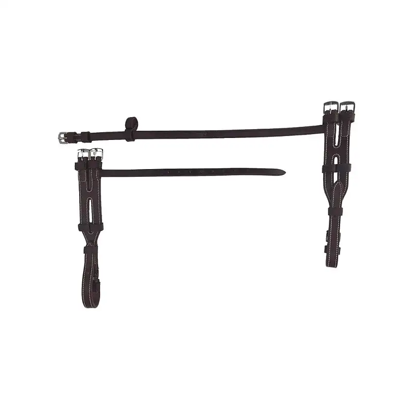 Importe para el hackamore