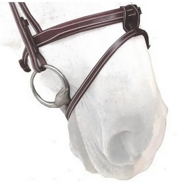 Cinta nasal para caballos Flash