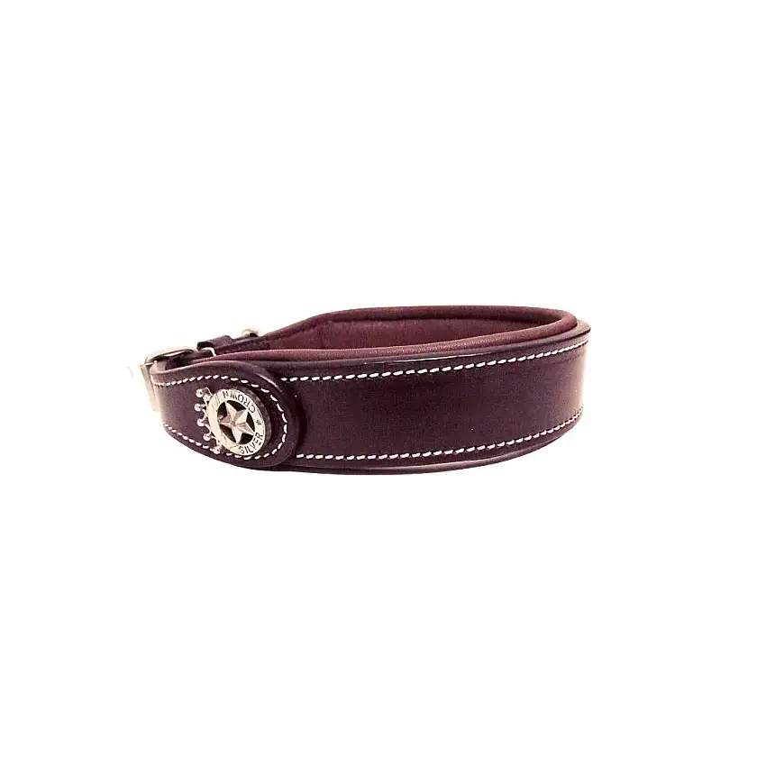 Collar para perros Carlotta