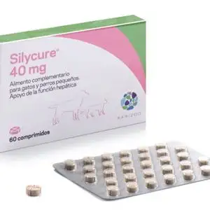 Karizoo Silycure 40Mg