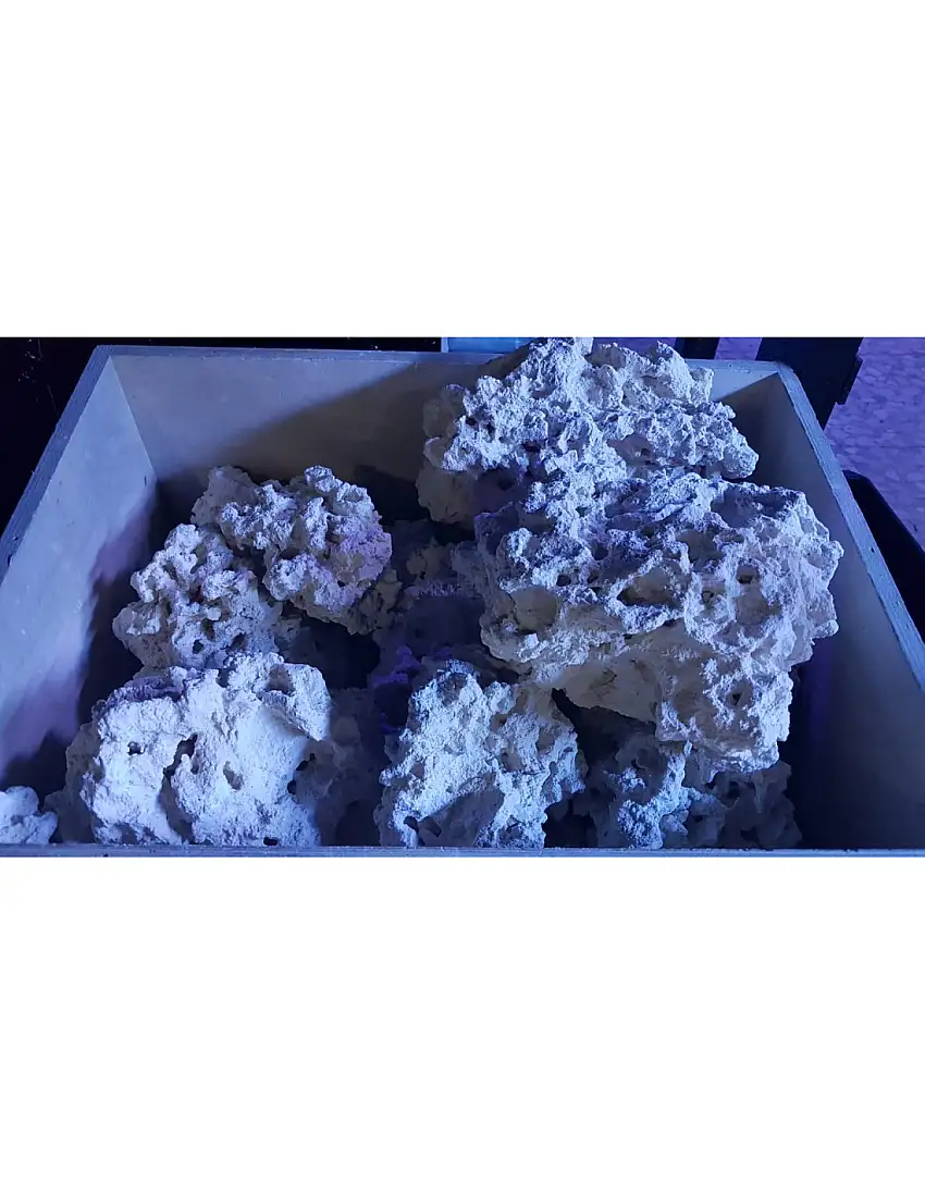 South Seas Rock