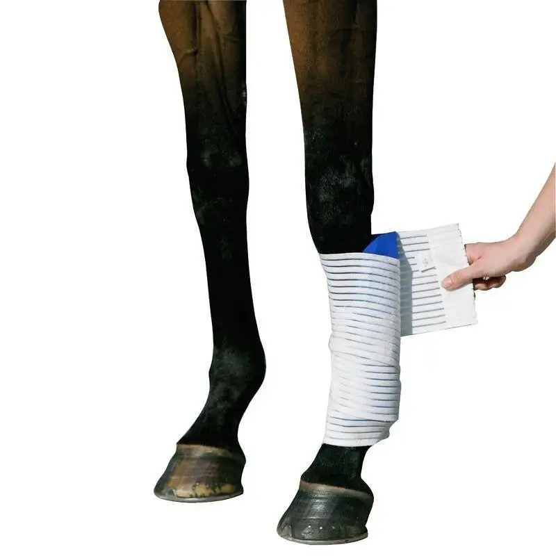 Venda elástica para caballos Kryo Kompakt