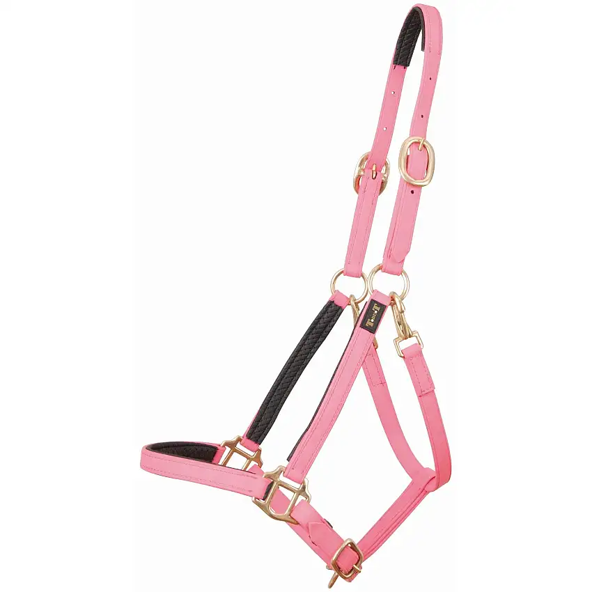 Cabezada para caballos Biotack®