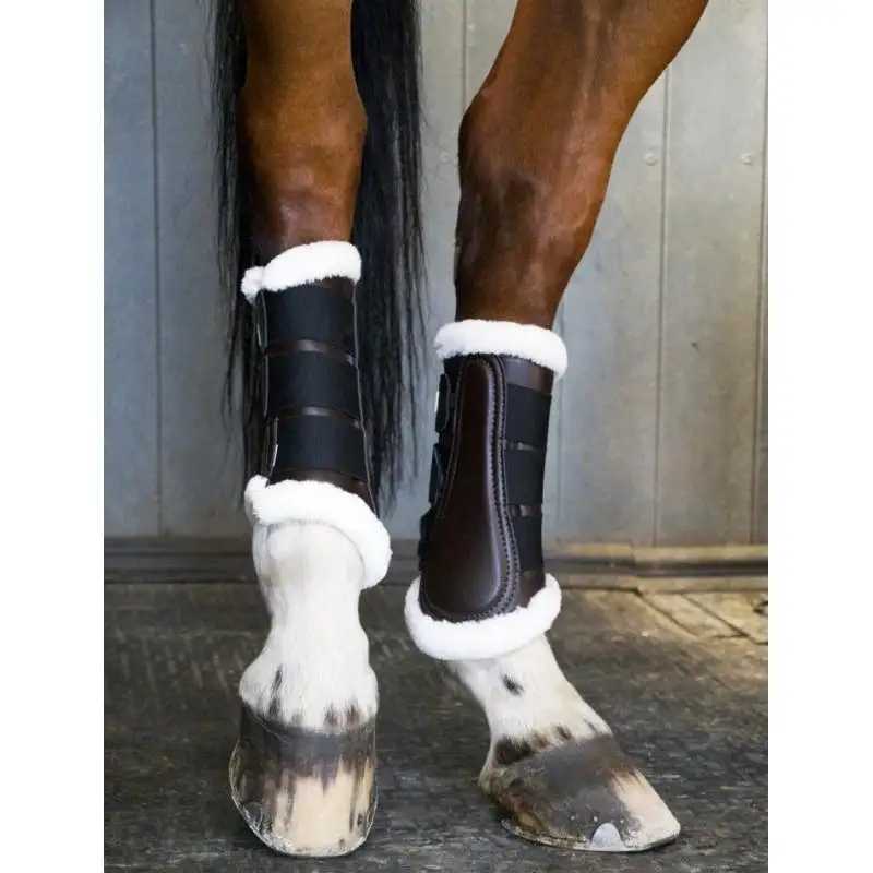 Protectores de doma delanteros para caballo "Training 22"