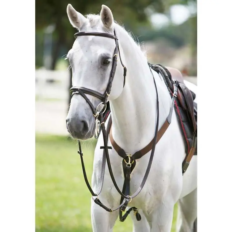 Collar de caza para caballos elástico con martingala