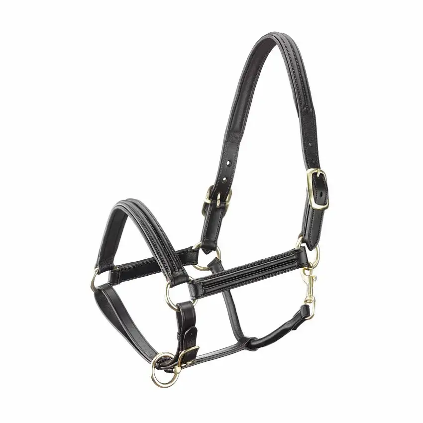 Cabestro de cuero para caballos con forro curvo