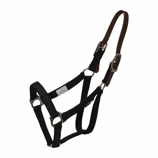 Cinta para la cabeza Breakaway Halsteel