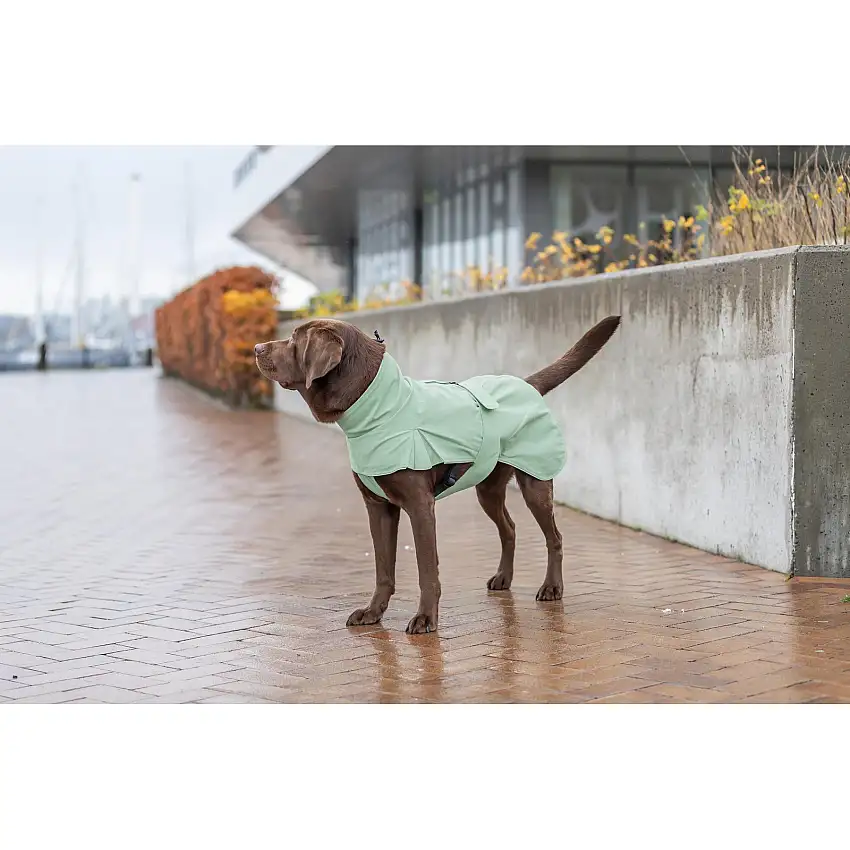 Abrigo impermeable para perros CityStyle Dublin
