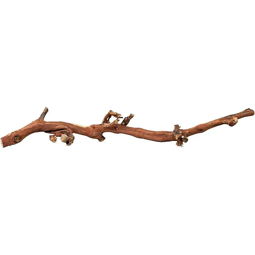 Decoración para terrarios - enredaderas con rayas de agua