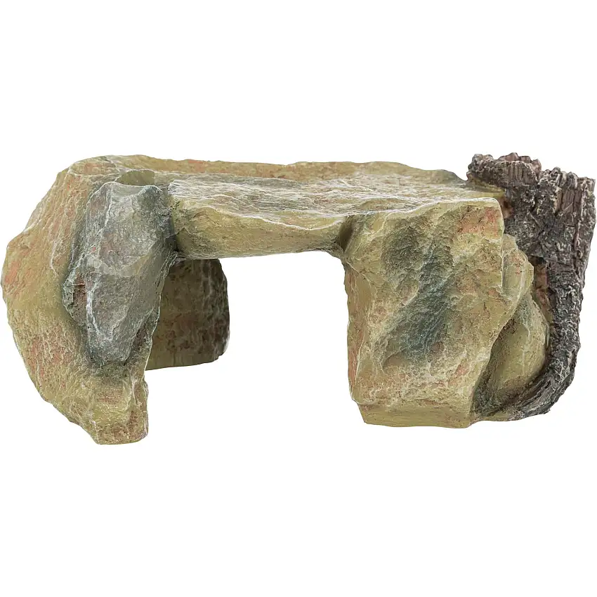 Plataforma de roca con tronco de árbol