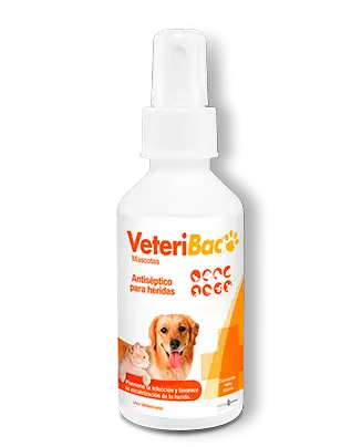 Veteribac Mascotas Solución 120 mL