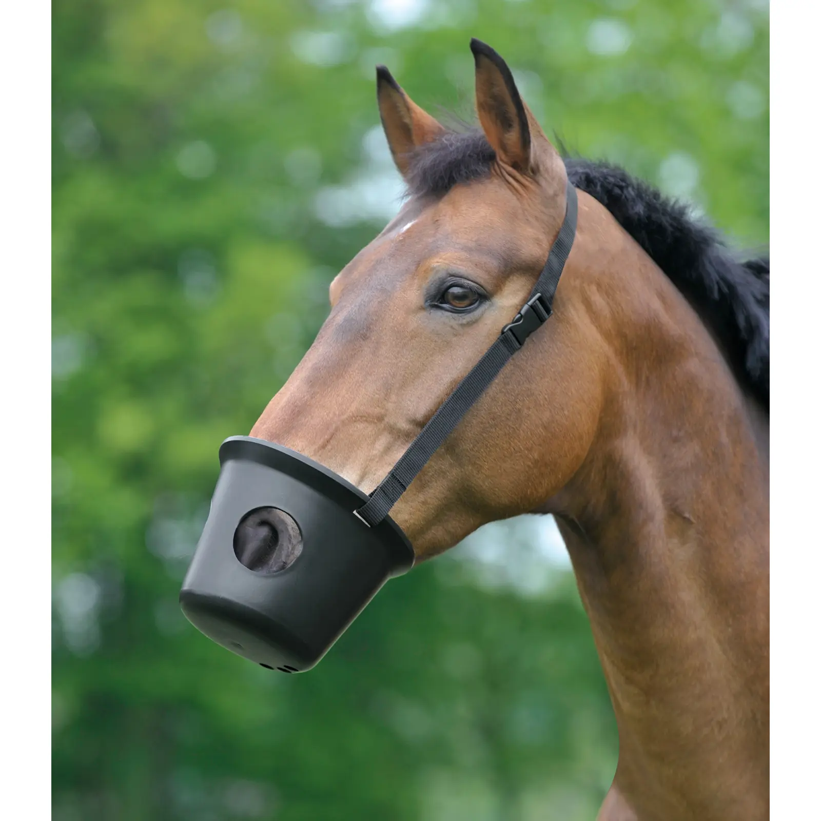Muserola para poni anti-cólico