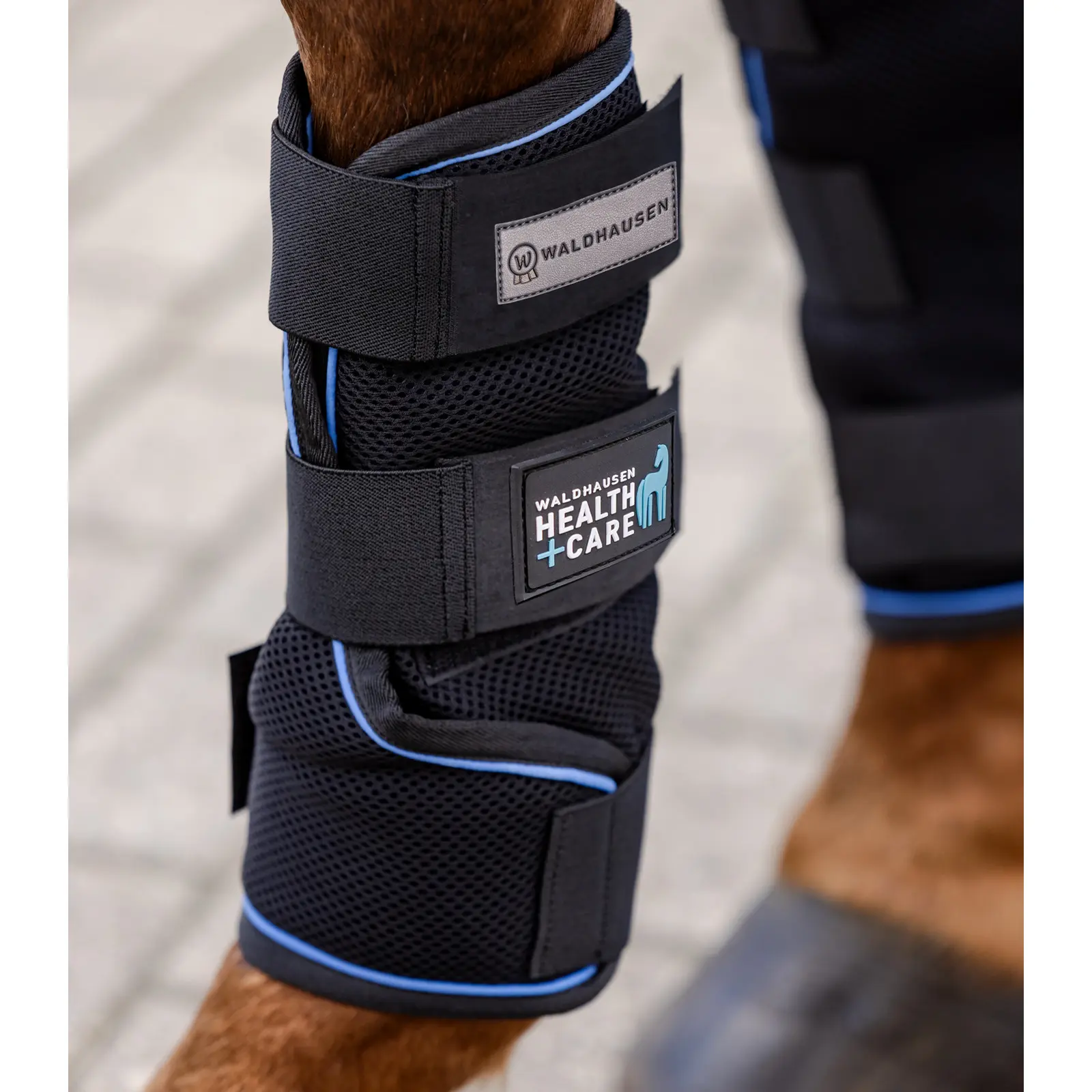 Botas de caballo Health + Care Ice Layer (x2)