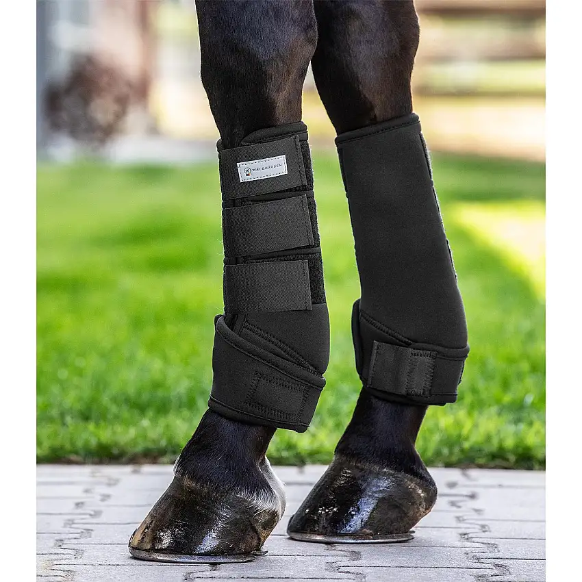 Escapularios con protección para el casco del caballo Protect