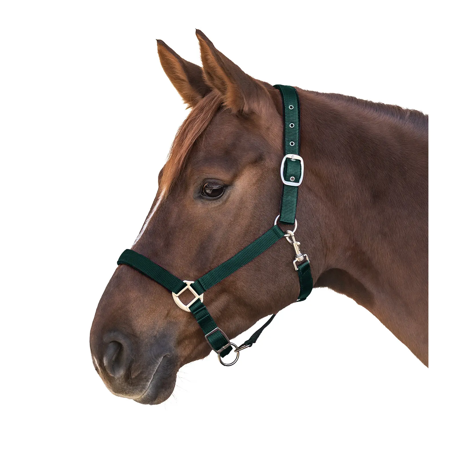Cabestro de satén para caballo