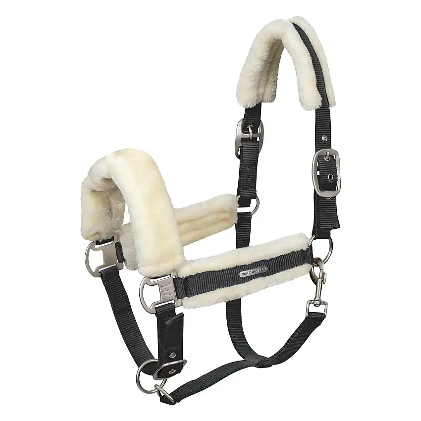 Brida para potro Soft