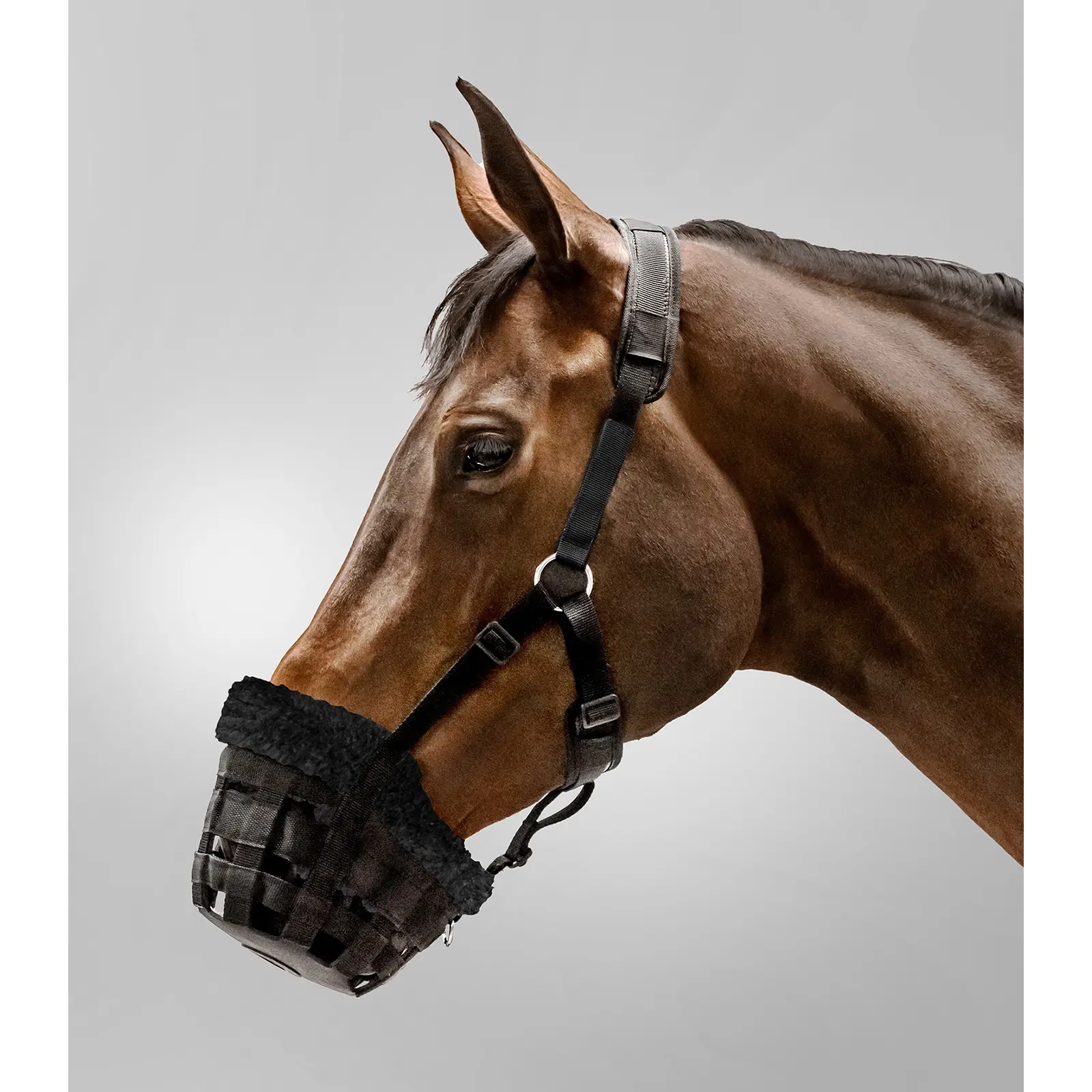 Muserola para caballo confort