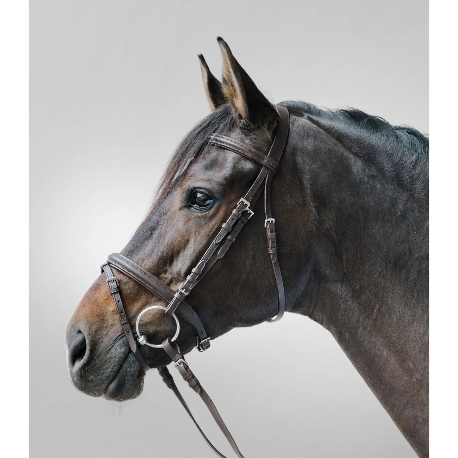 Brida de equitación con muserola combinada Lifestyle