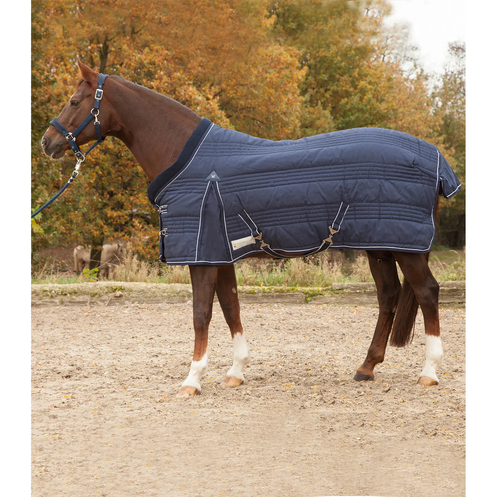 Manta de cuadra Comfort 300 g