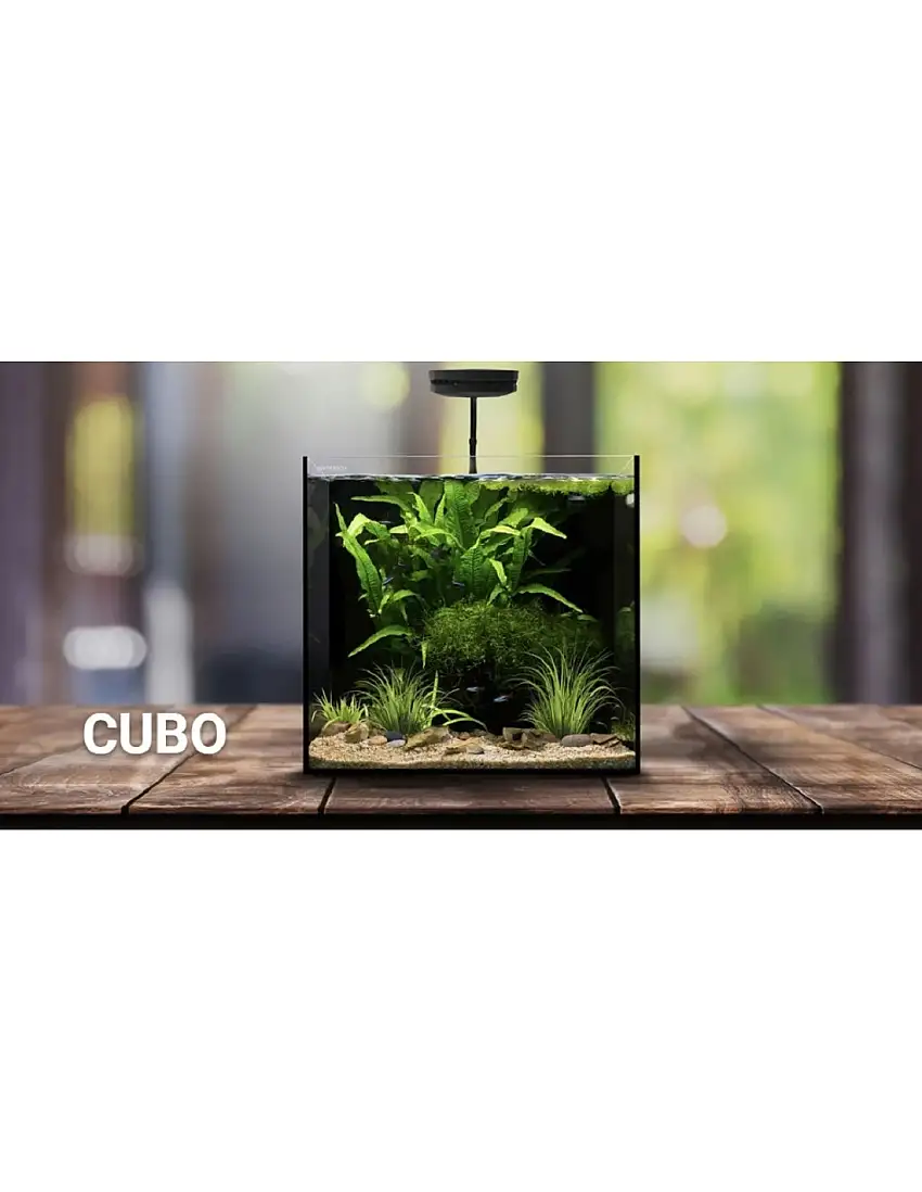 Waterbox Cube 20 + Mesa (Blanco)