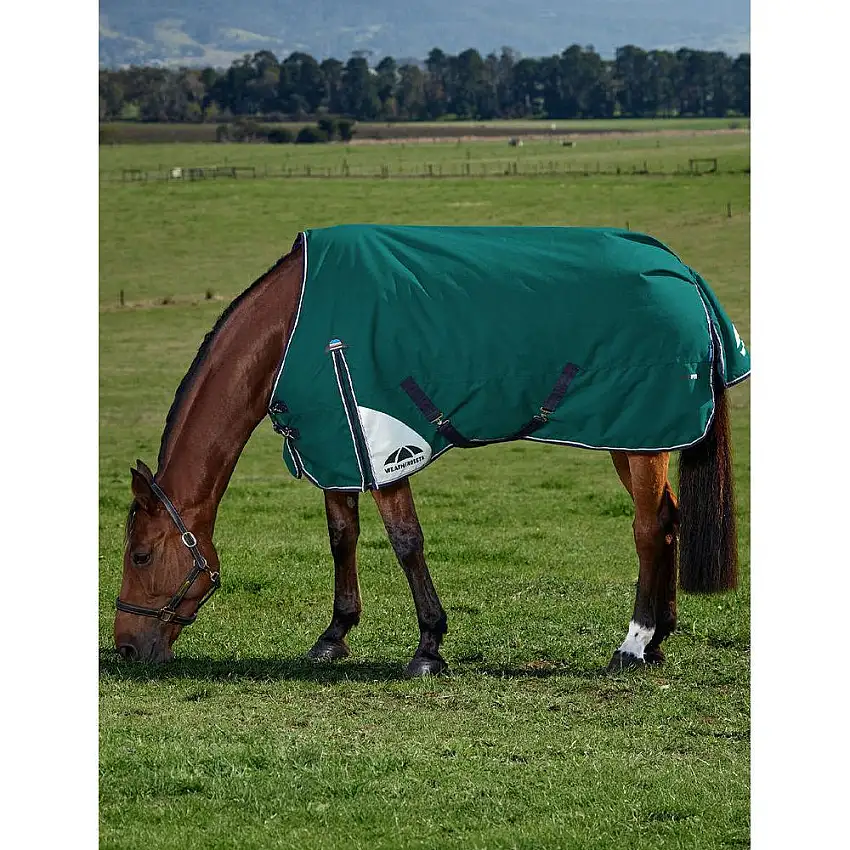 Manta de exterior para caballos Comfitec Plus Dynamic 100g