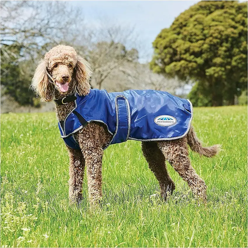 Abrigo para perro ComFiTec Windbreaker Free Deluxe