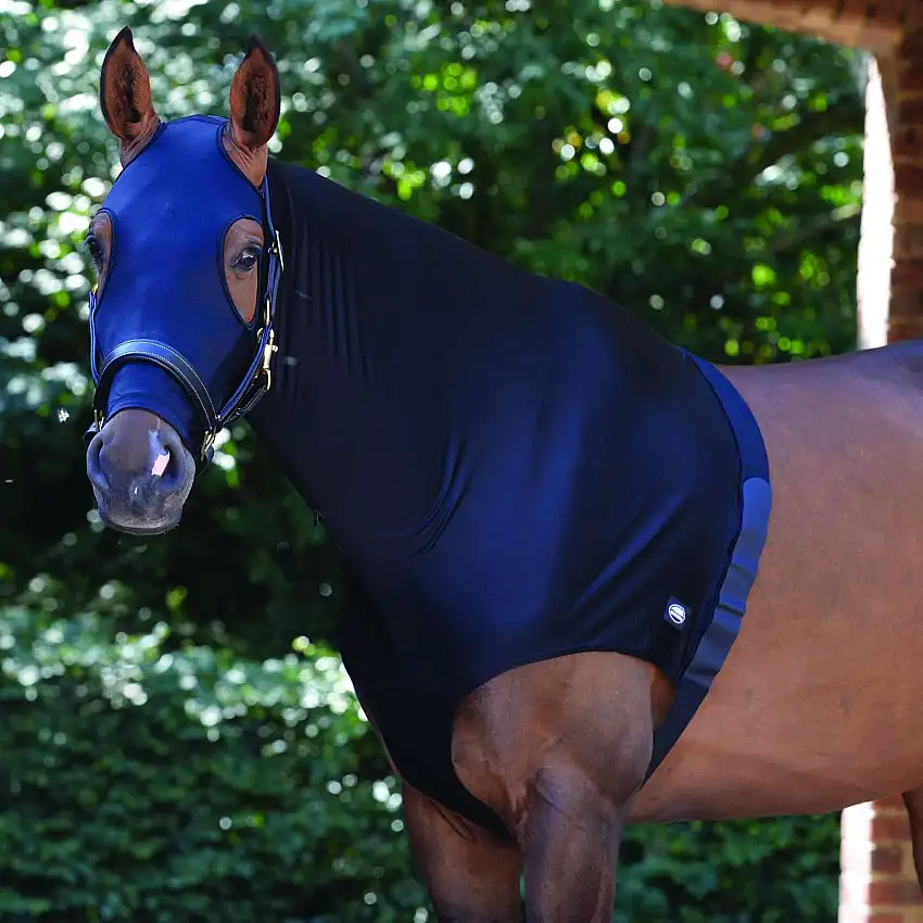 Protector de hombros para caballos con cubrecuello elástico