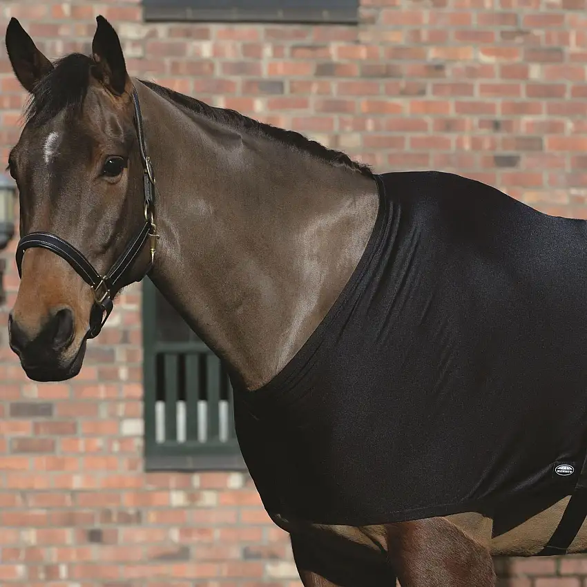 Protector de hombros elástico para caballos