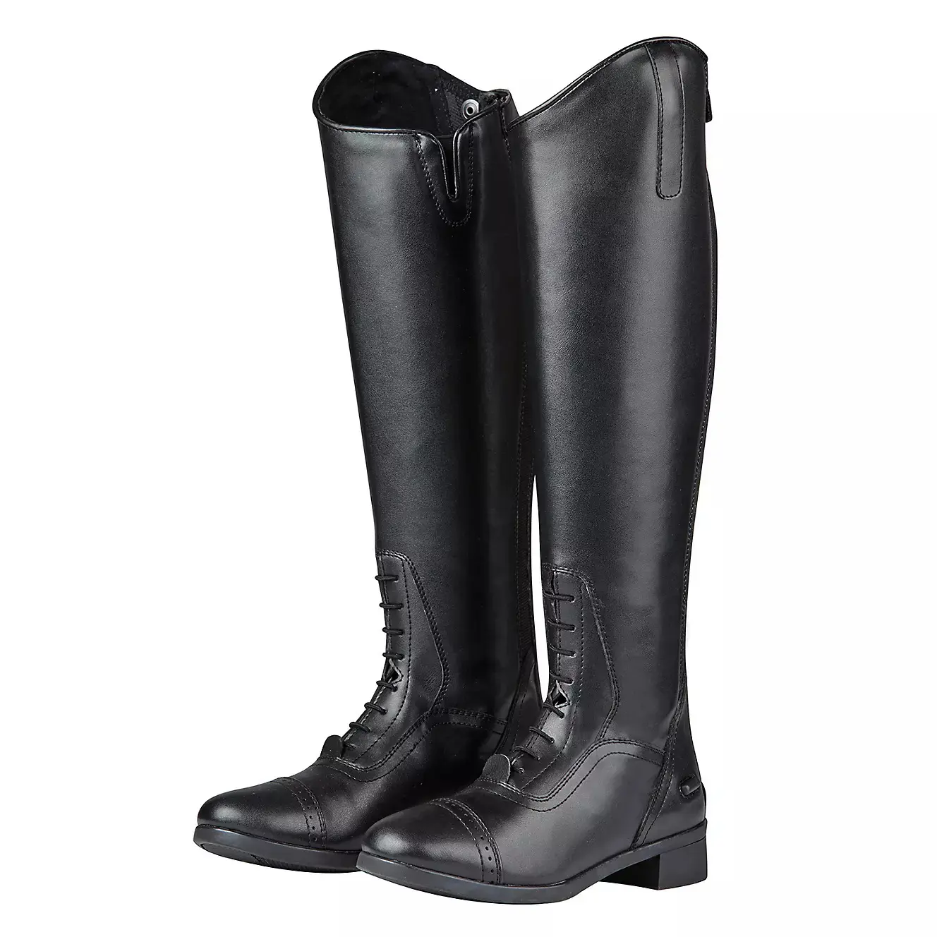 Botas altas equitación Saxon Syntovia