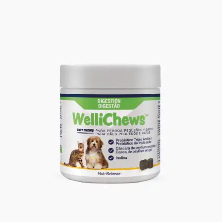 Wellichews Digestion Soft Chew para Perros y Gatos